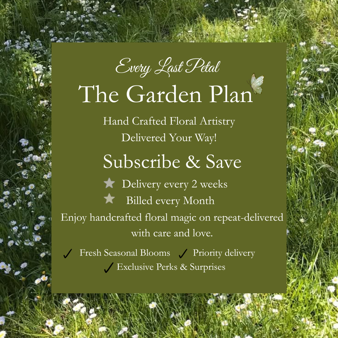 The Garden Plan