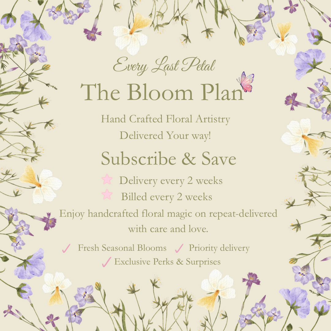 The Bloom Plan