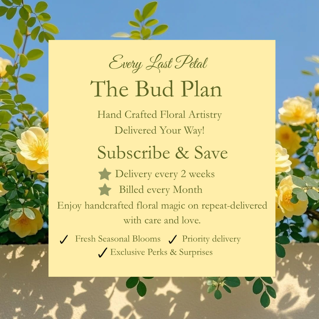 The Bud Plan