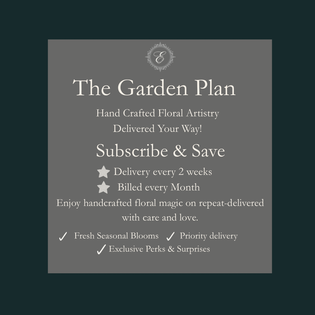 The Garden Plan
