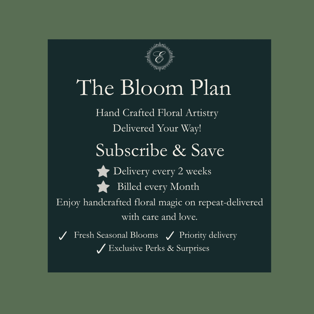 The Bloom Plan