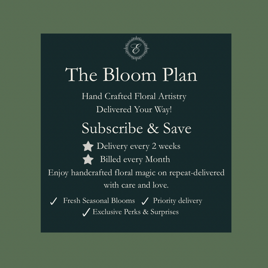 The Bloom Plan