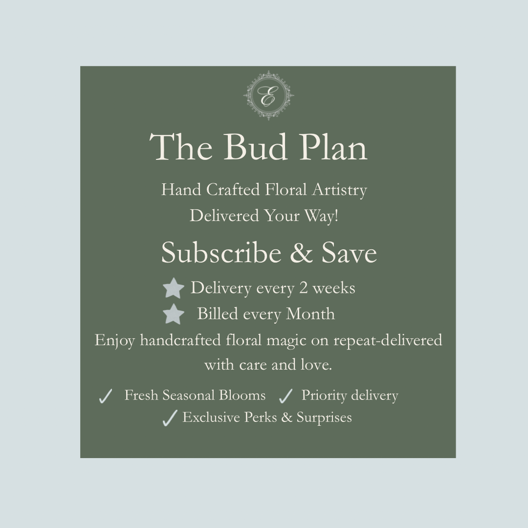 The Bud Plan