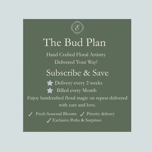 The Bud Plan