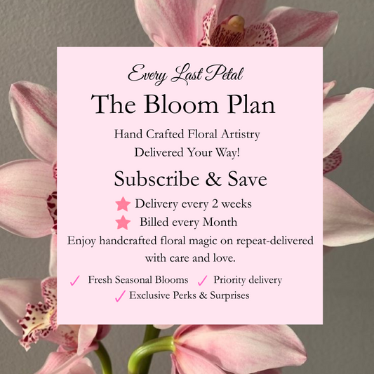 The Bloom Plan