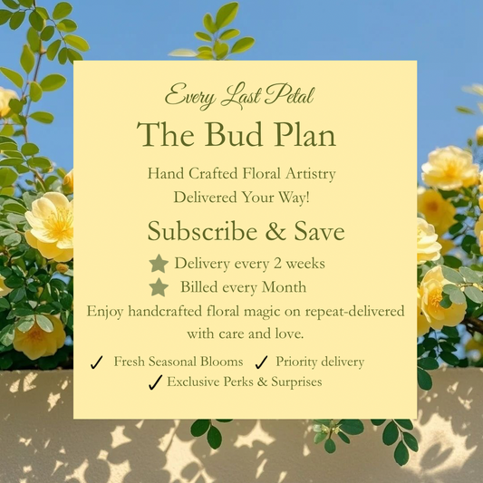 The Bud Plan